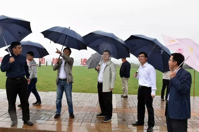 雨中巡视，把好&ldquo;新区&rdquo;挂牌前最后一道关！