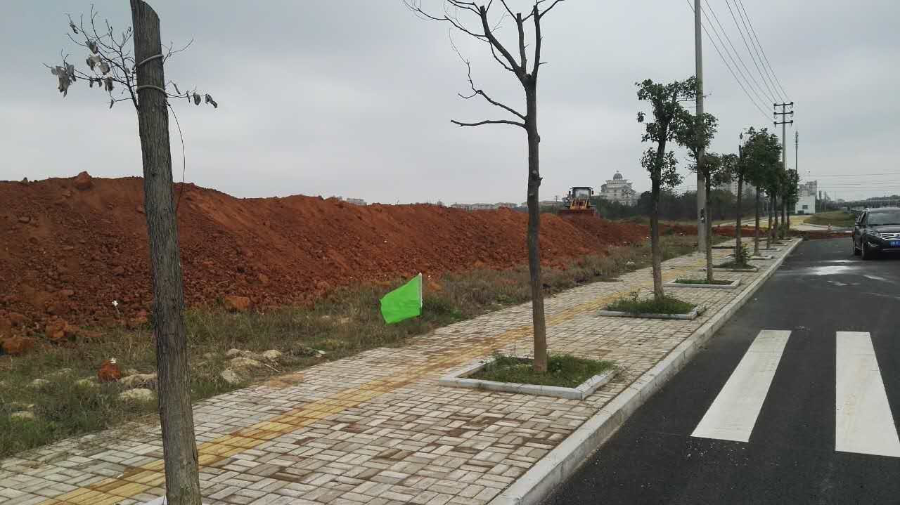 &ldquo;药谷一条街&rdquo;项目正式开工