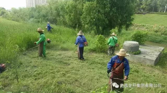 洒下汗水收获美丽 致城市的高级美容师&mdash;&mdash;园林工人 