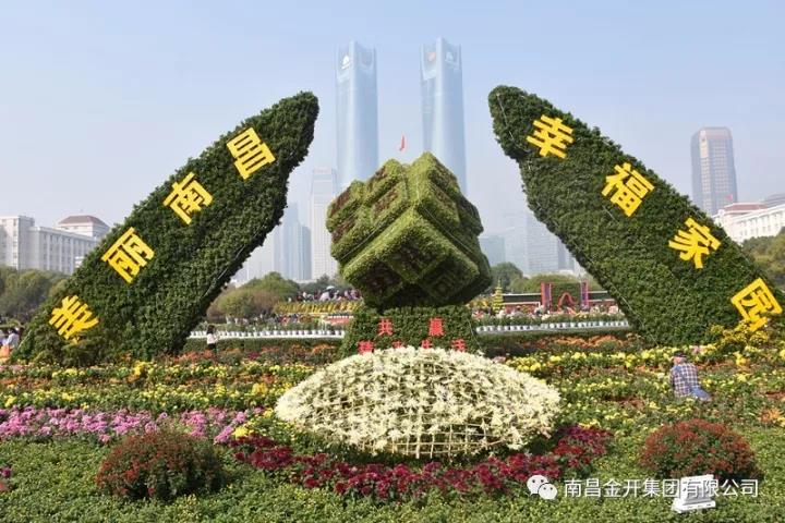 美！万千菊花姹紫嫣红 &ldquo;活力经开&rdquo;初露真容