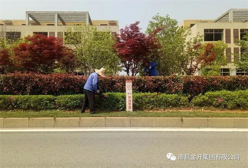 全力开展环境整治&nbsp; 营造清洁优美环境