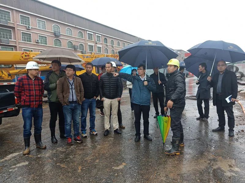 【聚焦】助力文明城市创建，金开乐鱼网站官方站登录入口-乐鱼online（中国）
在行动 