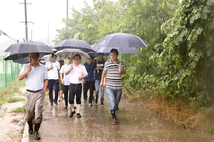 【专题报道】闻&ldquo;汛&rdquo;而动、风雨无阻