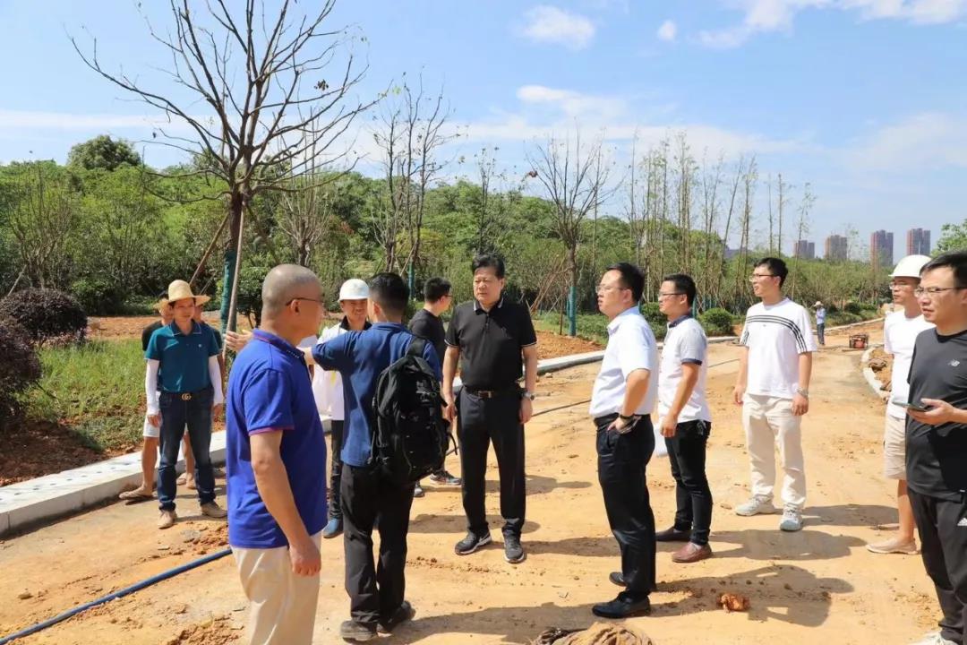 董事长谢荣华调研乐鱼网站官方站登录入口-乐鱼online（中国）
建设项目安全生产和项目推进工作