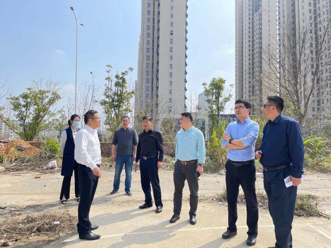贺敏现场调研乐鱼网站官方站登录入口-乐鱼online（中国）
地产板块新摘土地项目