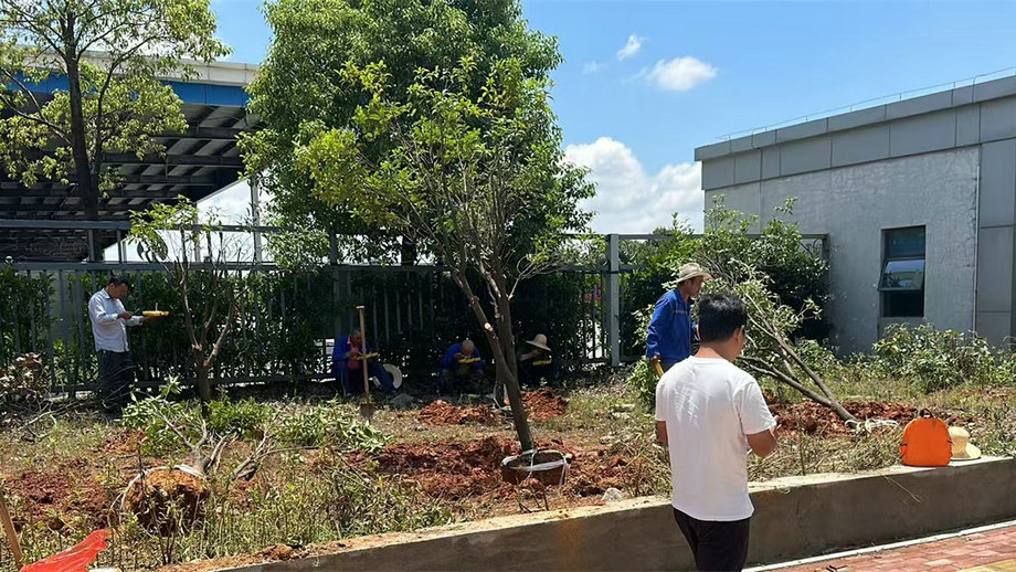 抢进度 抓细节 保成活&mdash;&mdash;机场三期苗木移植工作稳步推进
